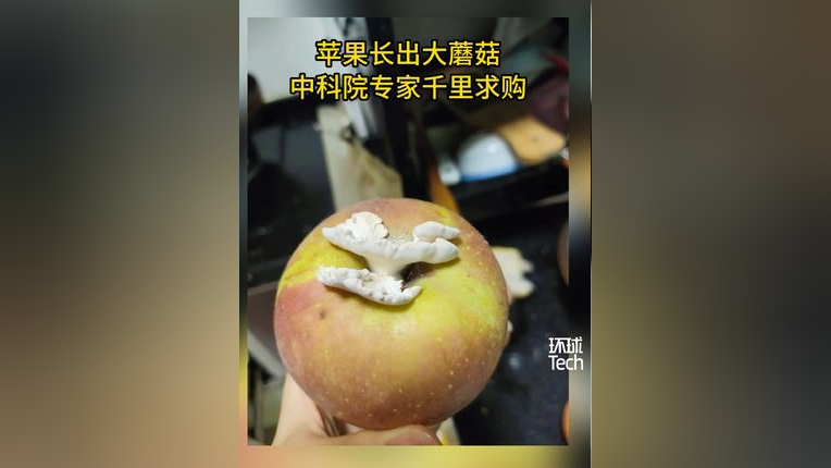 青狐视频苹果版iphone看免费视频的app-第2张图片-太平洋在线下载